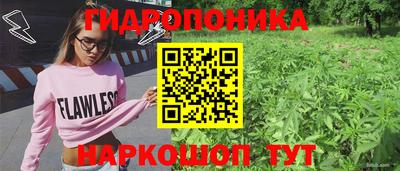 mdma Гусев