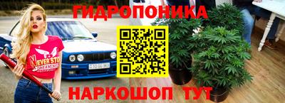 шишки Гусиноозёрск