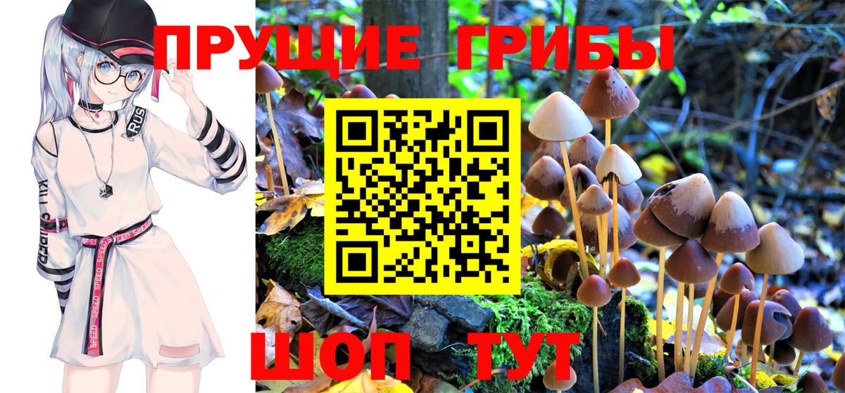 Псилоцибиновые грибы Psilocybine cubensis  Вход с VPN  Галлюциногенные грибы мухоморы  Москва 